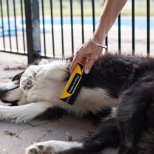 Paws-n-Play™ Pet Hair Remover Brush